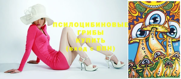 apvp Богородск